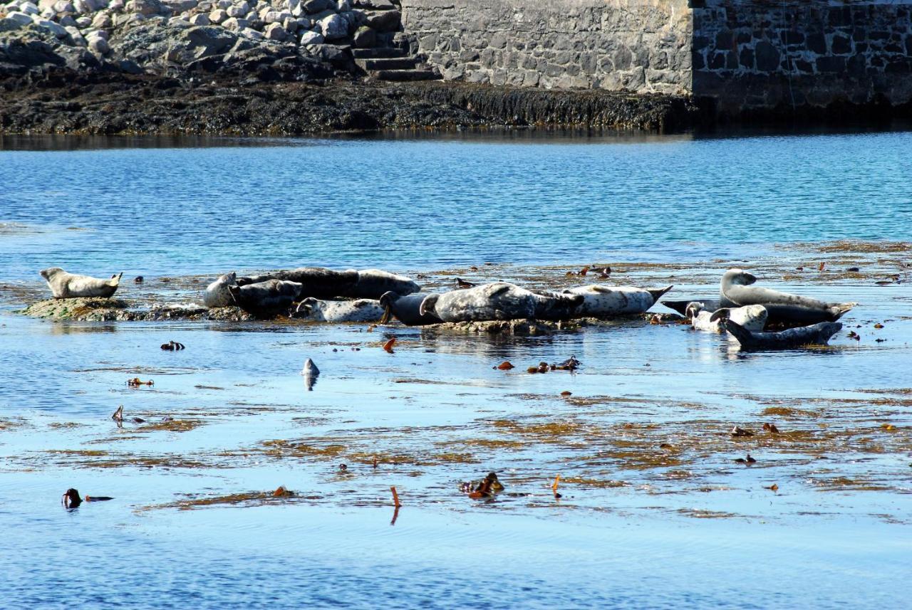 Orsay House Bed and Breakfast Portnahaven Buitenkant foto